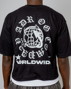 Worldwide Globe